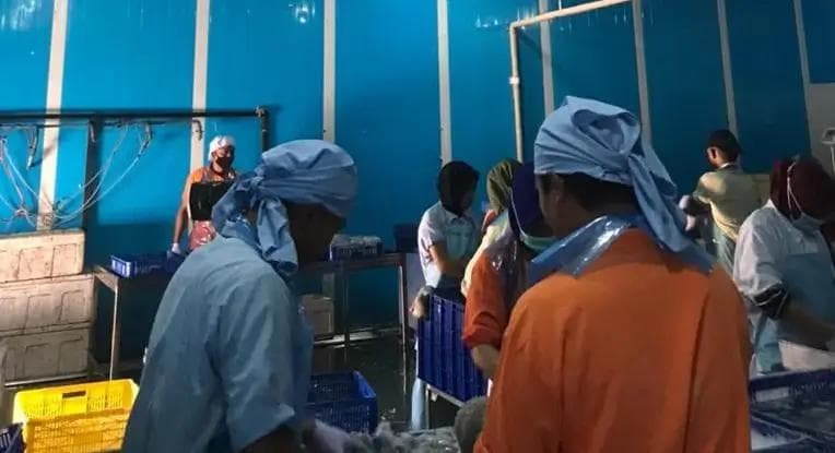 Workers in a processing facility